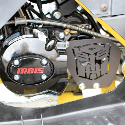 Квадроцикл IRBIS ATV 125 250039