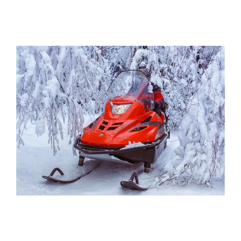 Снегоход РУССКАЯ МЕХАНИКА Тайга Варяг 550V 9634