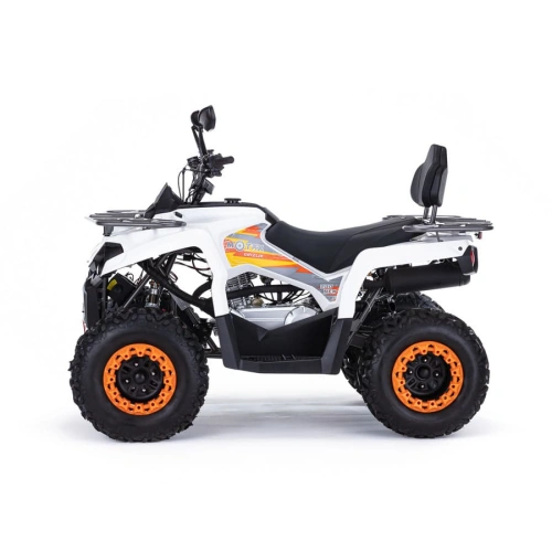 Квадроцикл MOTAX ATV Grizlik 200 Ultra 2546453
