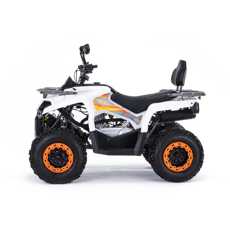 Квадроцикл MOTAX ATV Grizlik 200 Ultra 2546453