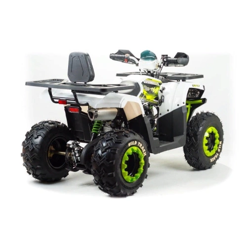 Квадроцикл MOTOLAND ATV 200 Wild Track 248051