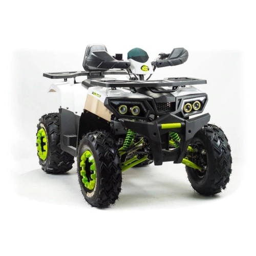 Квадроцикл MOTOLAND ATV 200 Wild Track 248051