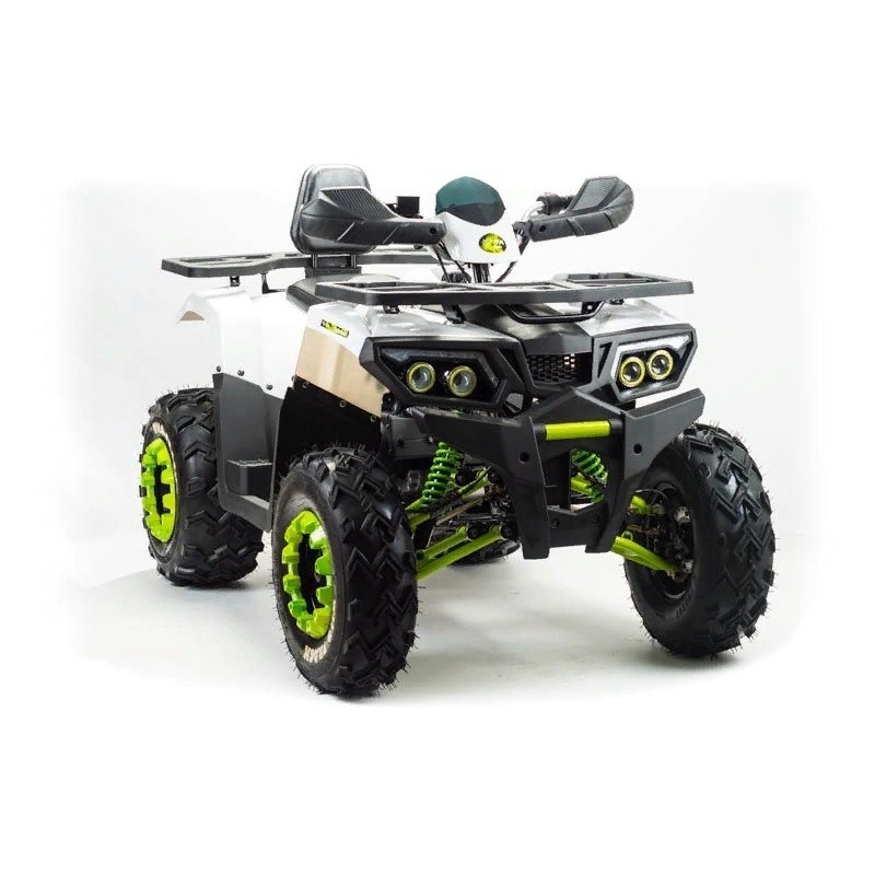 Квадроцикл MOTOLAND ATV 200 Wild Track 248051
