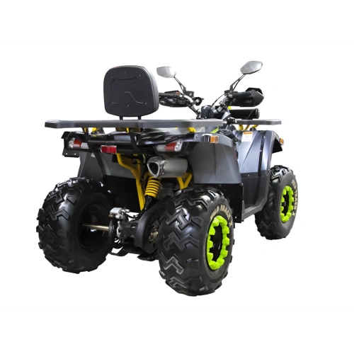 Квадроцикл MOTOLAND 200 Wild Track X Winch