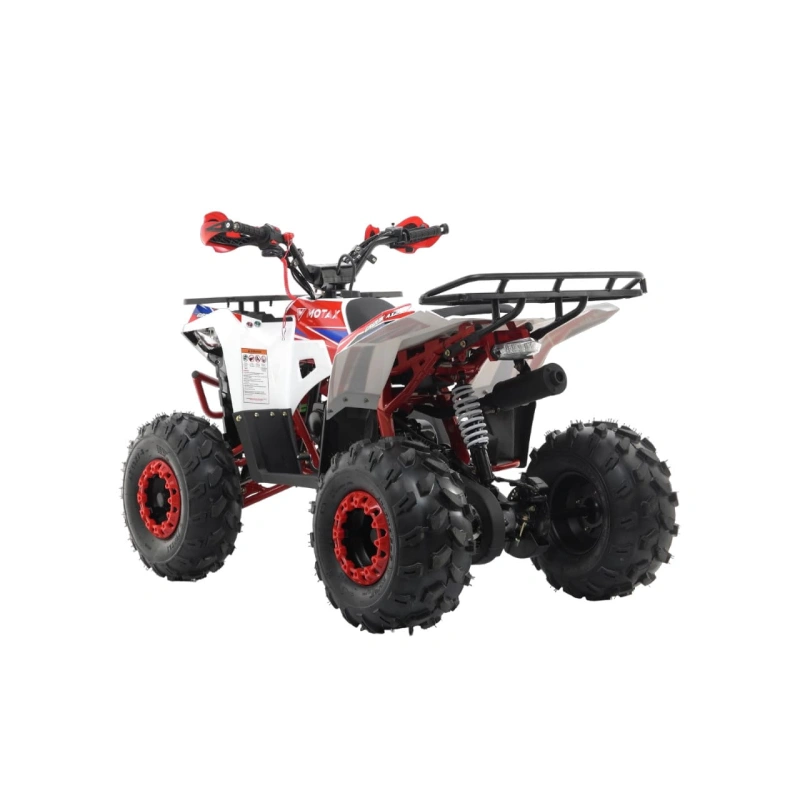Квадроцикл MOTAX Grizlik A125