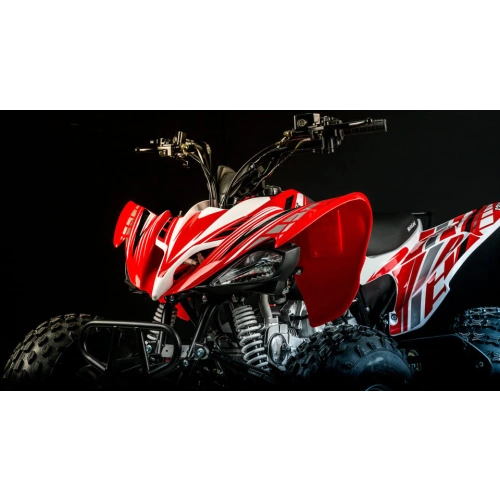 Квадроцикл MOTOLAND 250S 248046