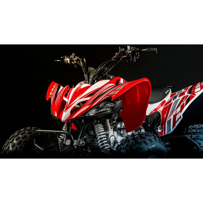 Квадроцикл MOTOLAND 250S 248046
