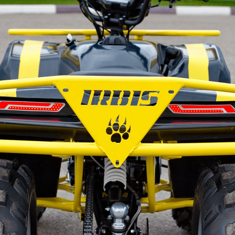 Квадроцикл IRBIS ATV 125 250039