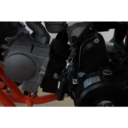 Квадроцикл MOTAX ATV T-Rex Super LUX 50 cc 2546487