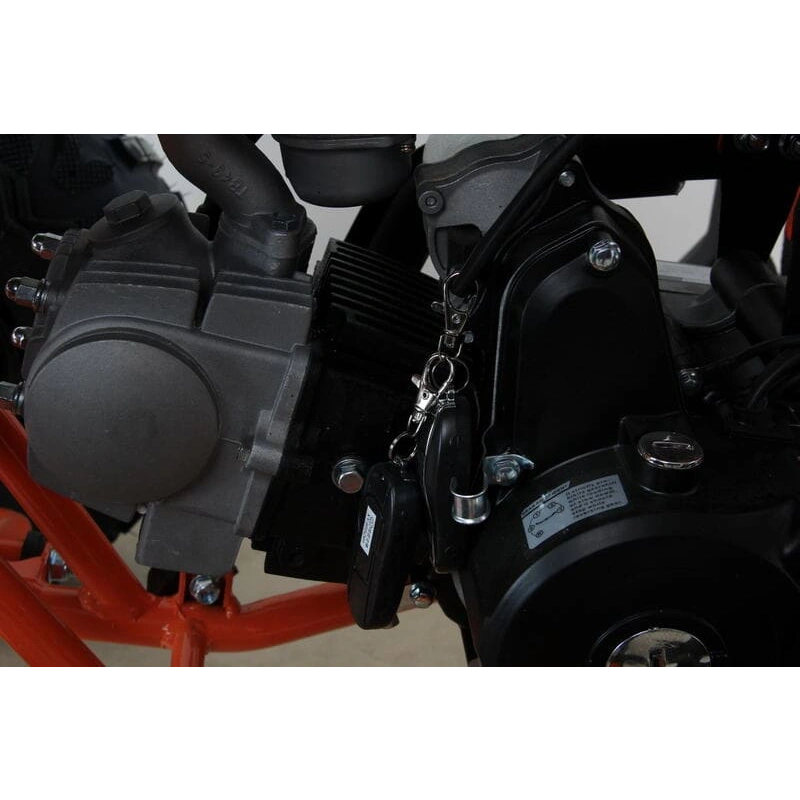 Квадроцикл MOTAX ATV T-Rex Super LUX 50 cc 2546487