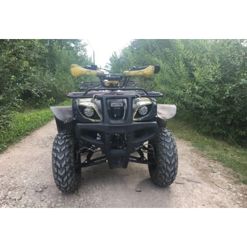 Квадроцикл MOTOLAND 250 Adventure (2021 Г.) 248047