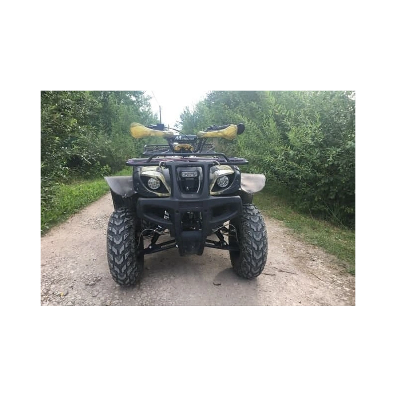 Квадроцикл MOTOLAND 250 Adventure (2021 Г.) 248047