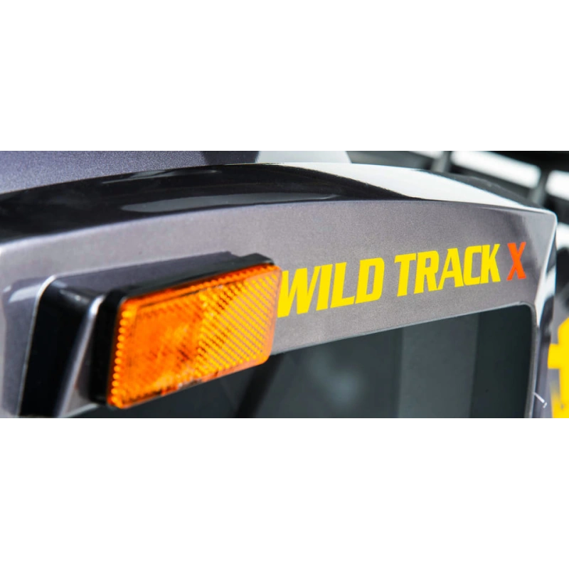 Квадроцикл MOTOLAND 200 Wild Track X Pro (2022) 248139