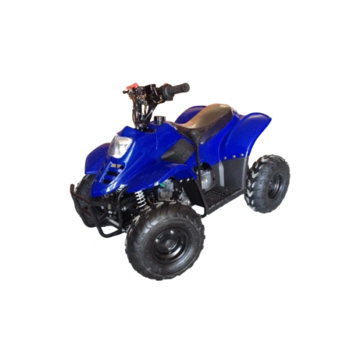 Квадроцикл RAPTOR 110 2587059