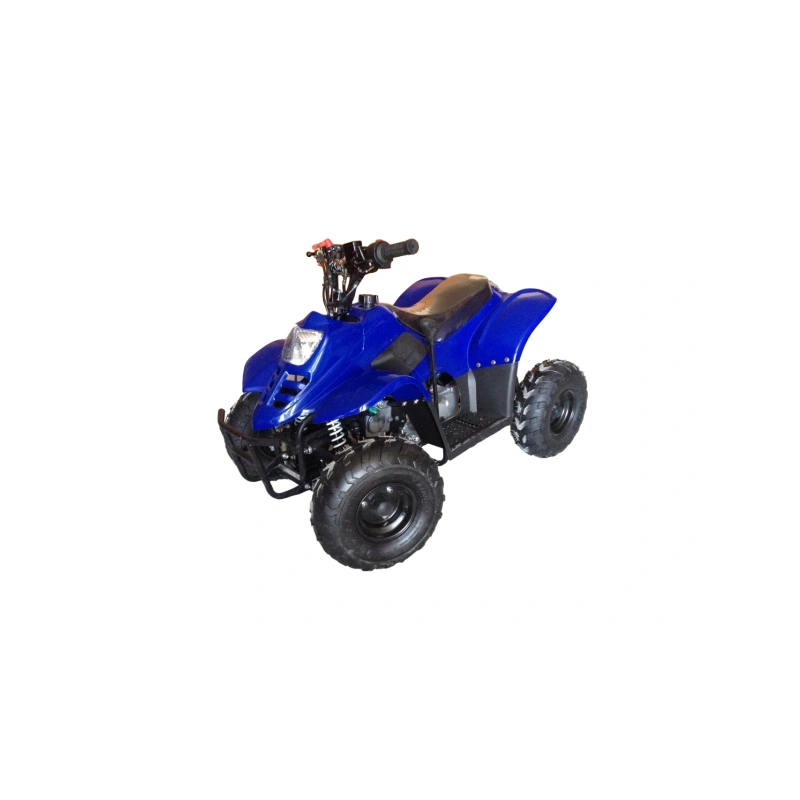 Квадроцикл RAPTOR 110 2587059