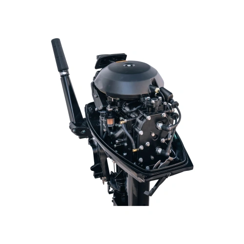 2х-тактный лодочный мотор REEF RIDER RR30FHS 2584113
