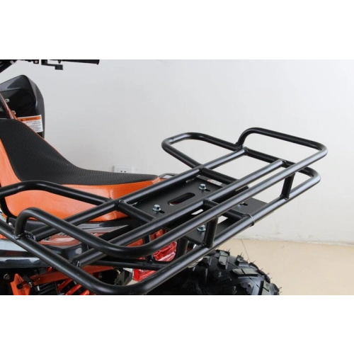 Квадроцикл MOTAX ATV T-Rex Super LUX 50 cc 2546487