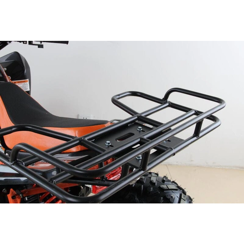 Квадроцикл MOTAX ATV T-Rex Super LUX 50 cc 2546487
