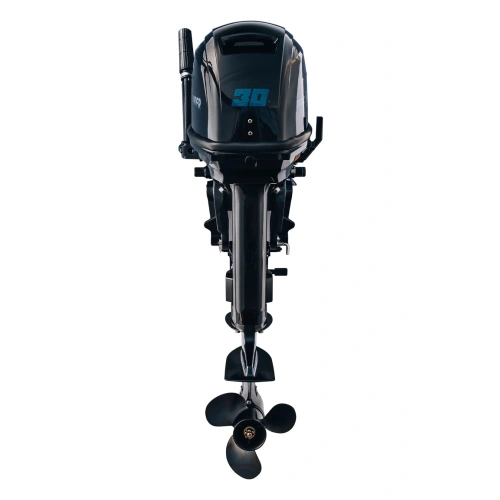 2х-тактный лодочный мотор REEF RIDER RR30FHS 2584113