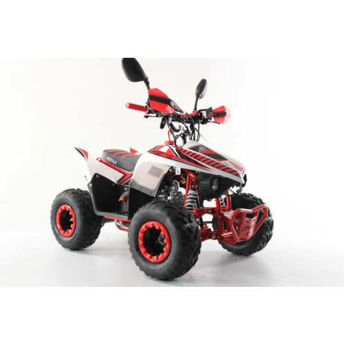 Квадроцикл MOTAX Mikro 110 New