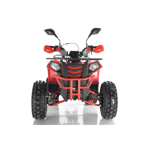 Квадроцикл WELS Thunder Evo X