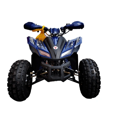 Квадроцикл MOTOLAND 125 Coyote Pro