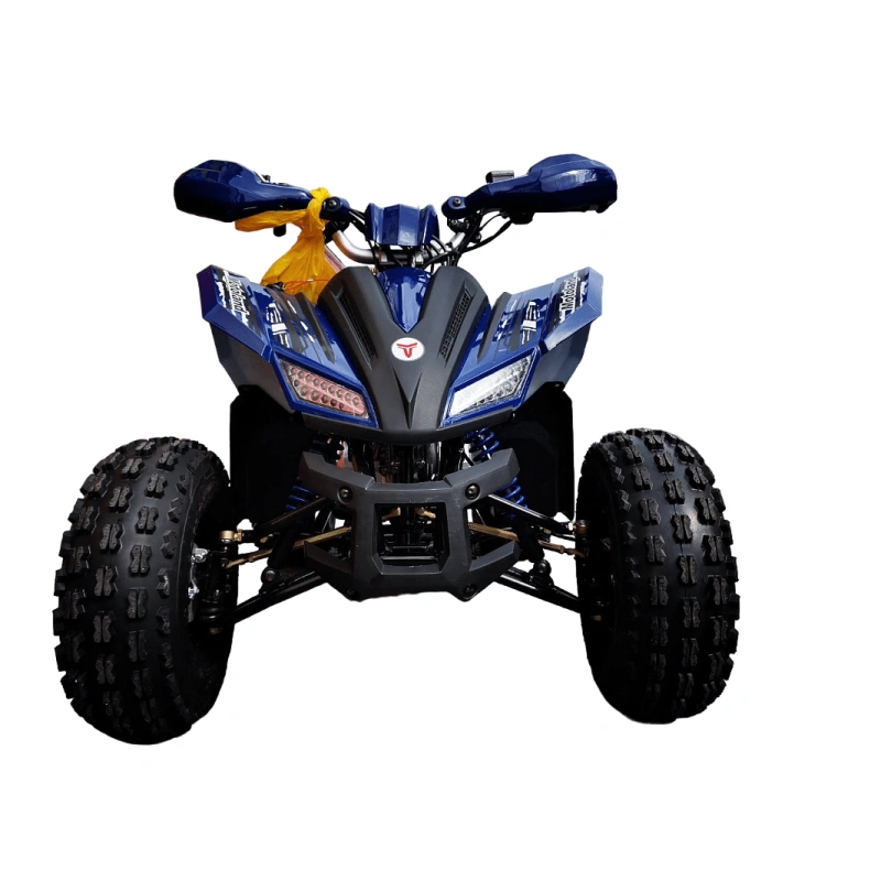 Квадроцикл MOTOLAND 125 Coyote Pro