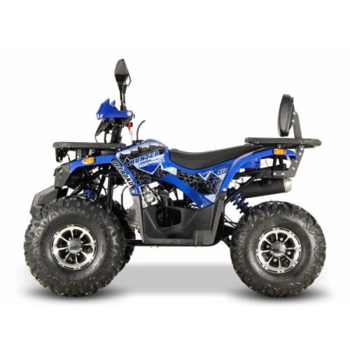 Квадроцикл GRIZZLY Aerox 125