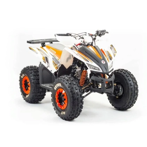 Квадроцикл MOTOLAND 125 Coyote (2021 Г.) 248052