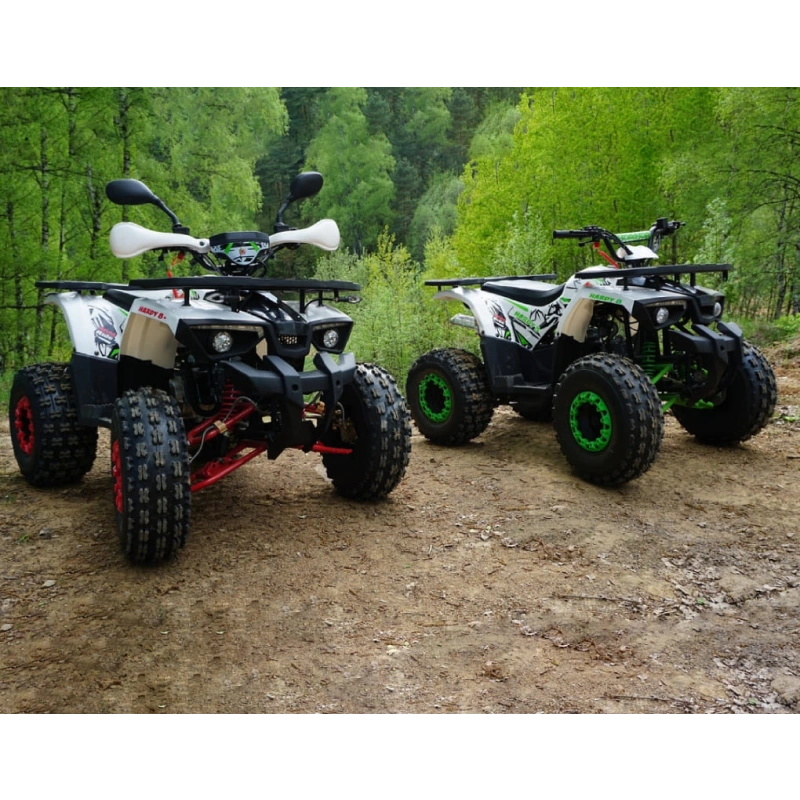 Квадроцикл MOWGLI Hardy 8M