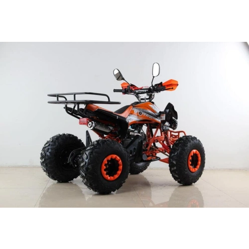 Квадроцикл MOTAX ATV T-Rex Super LUX 50 cc 2546487