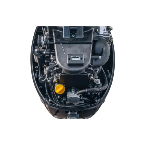 4х-тактный лодочный мотор REEF RIDER RRF20HS 2584121
