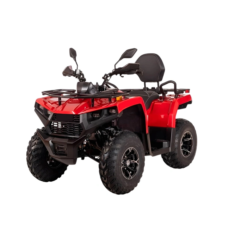 Квадроцикл BIZON YK200 Basic Carb