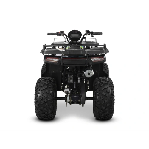 Квадроцикл SHARMAX 300 RX Activator 2594624