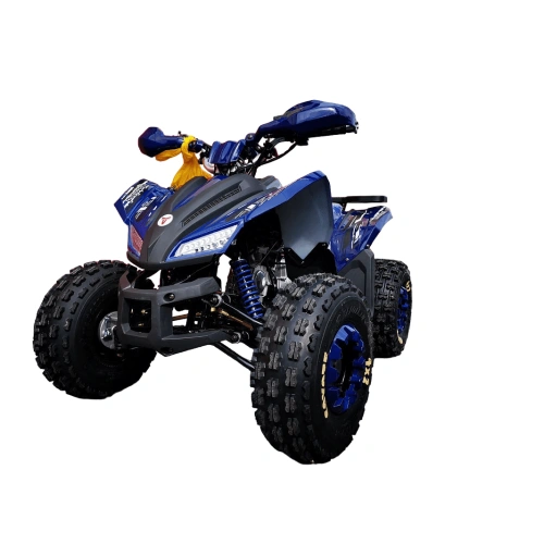 Квадроцикл MOTOLAND 125 Coyote Pro