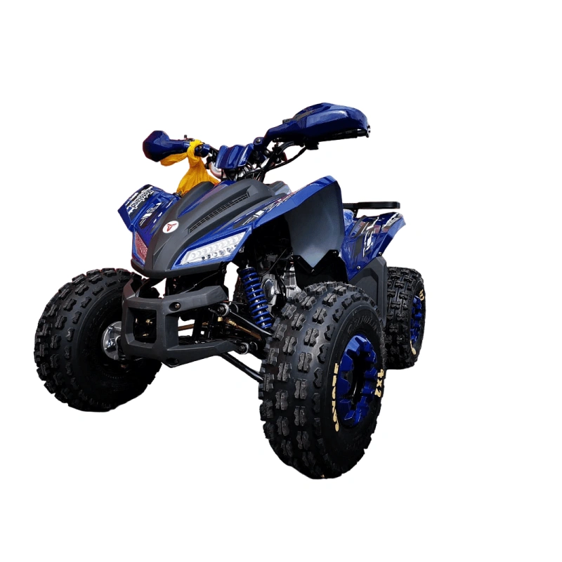 Квадроцикл MOTOLAND 125 Coyote Pro