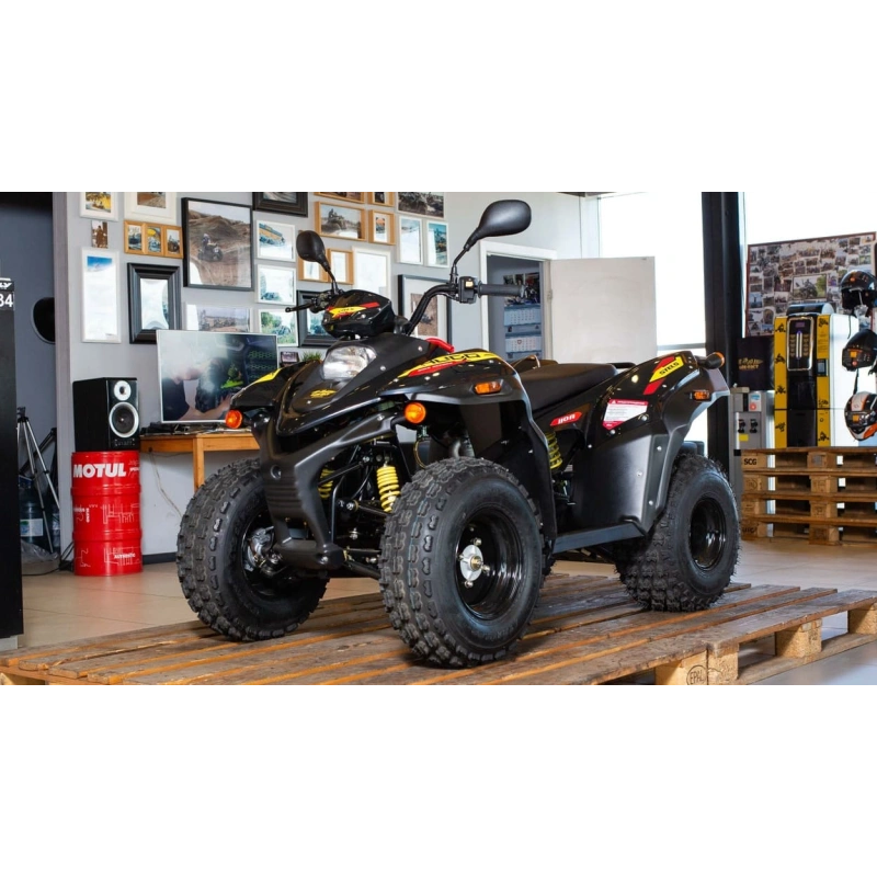Квадроцикл STELS ATV 110A Hugo 248104