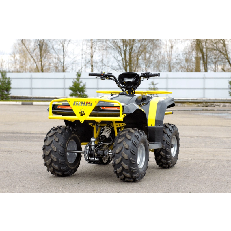 Квадроцикл IRBIS ATV 125 250039