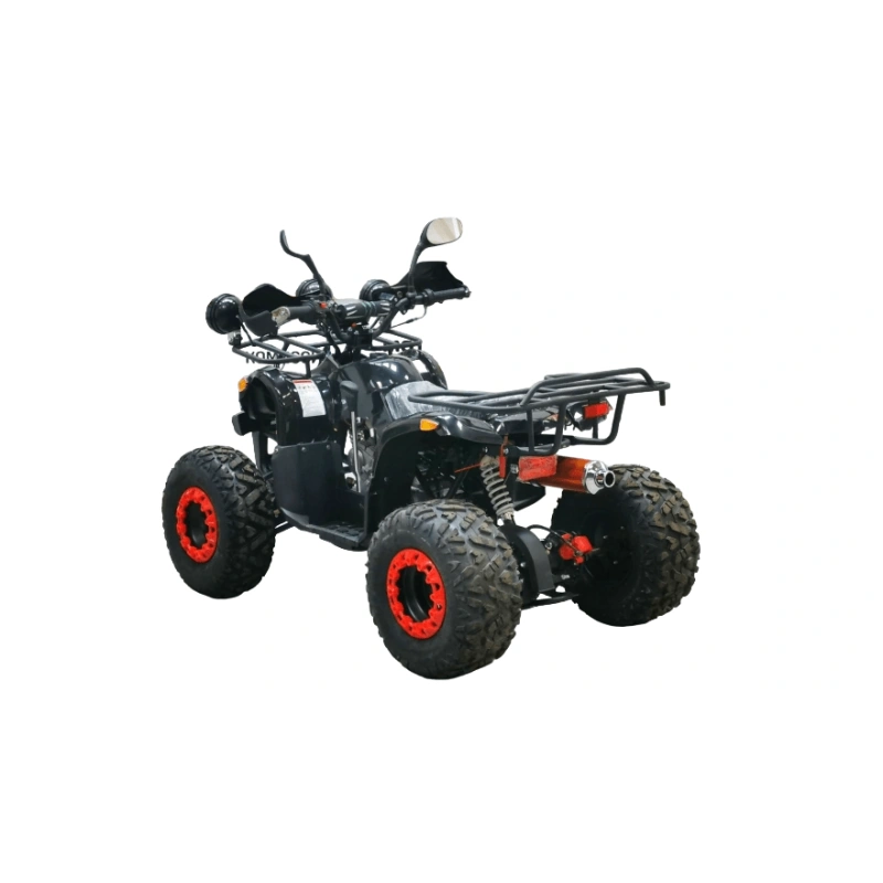 Квадроцикл BISON Kids 125 LD 2569651
