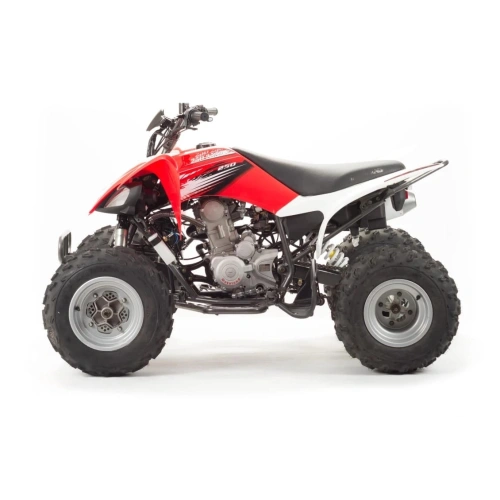 Квадроцикл MOTOLAND 250S 248046