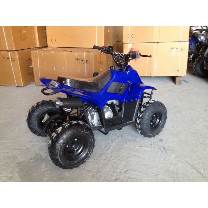 Квадроцикл RAPTOR 110 2587059