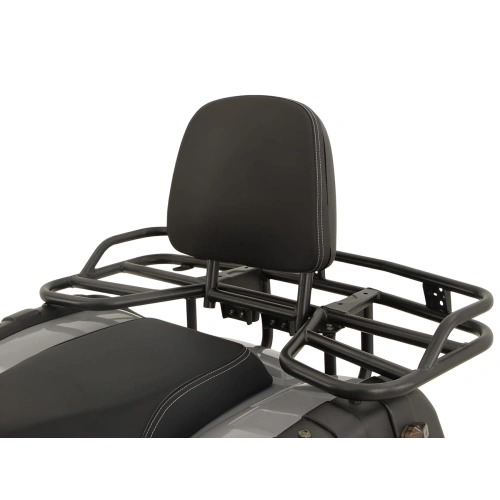 Квадроцикл GRIZZLY 200 Premium 2589193