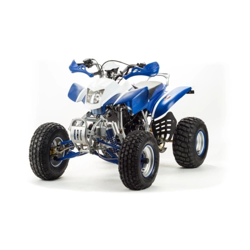 Квадроцикл MOTOLAND 250 Dakar 248053