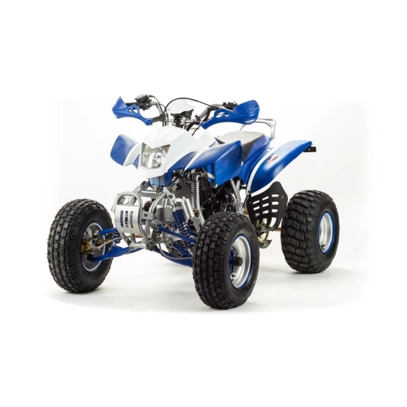Квадроцикл MOTOLAND 250 Dakar 248053