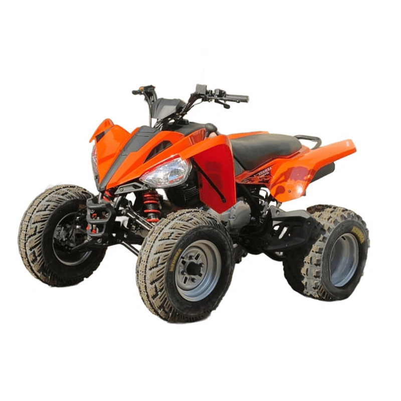 Квадроцикл ARMADA ATV 200L-1 2545611
