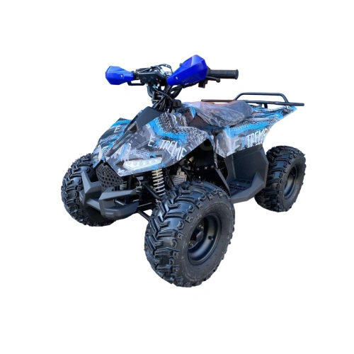 Квадроцикл RAPTOR New 125 2587031