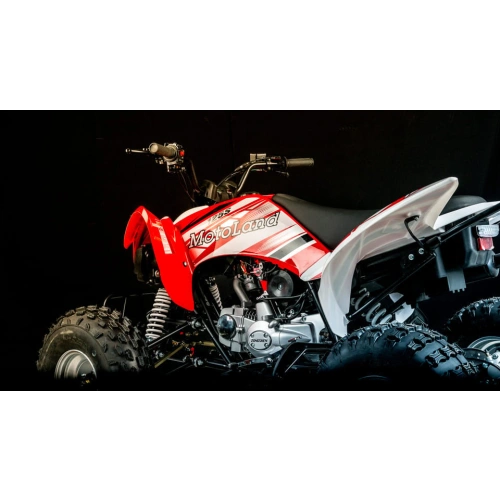 Квадроцикл MOTOLAND 250S 248046