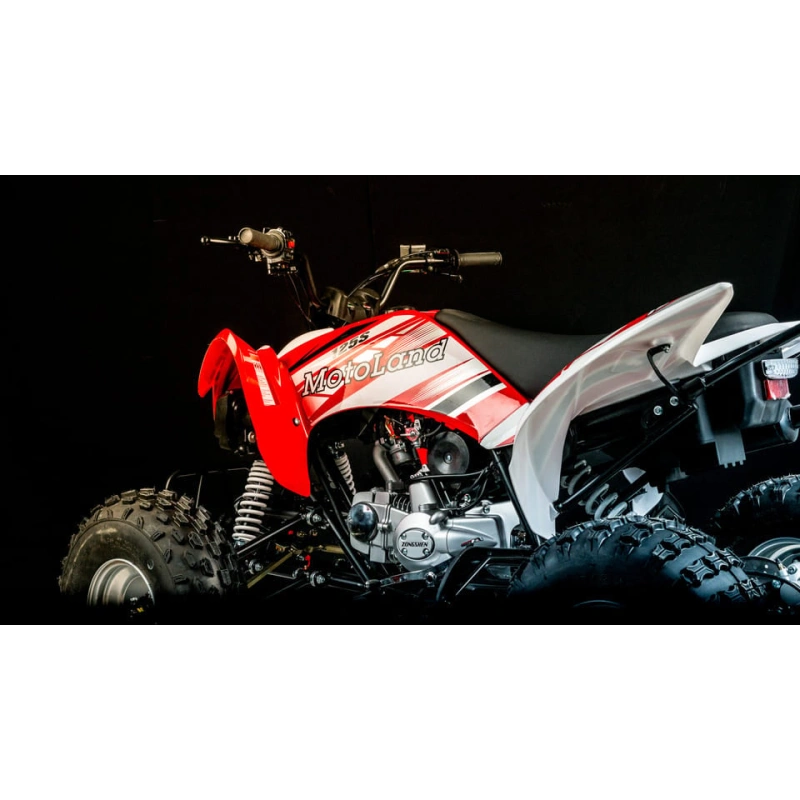 Квадроцикл MOTOLAND 250S 248046