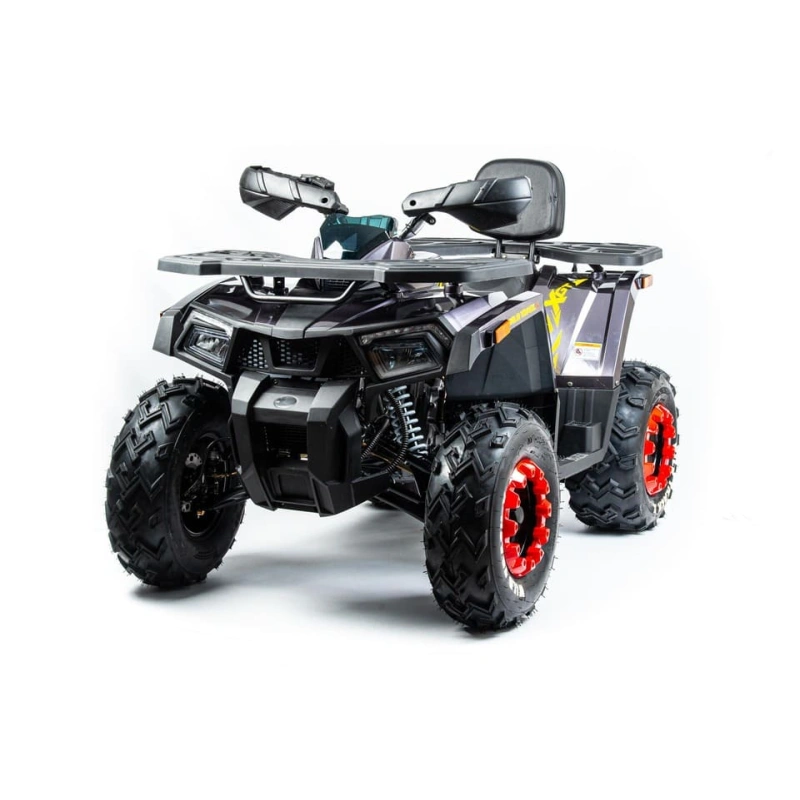 Квадроцикл MOTOLAND 200 Wild Track X Pro (2022) 248139