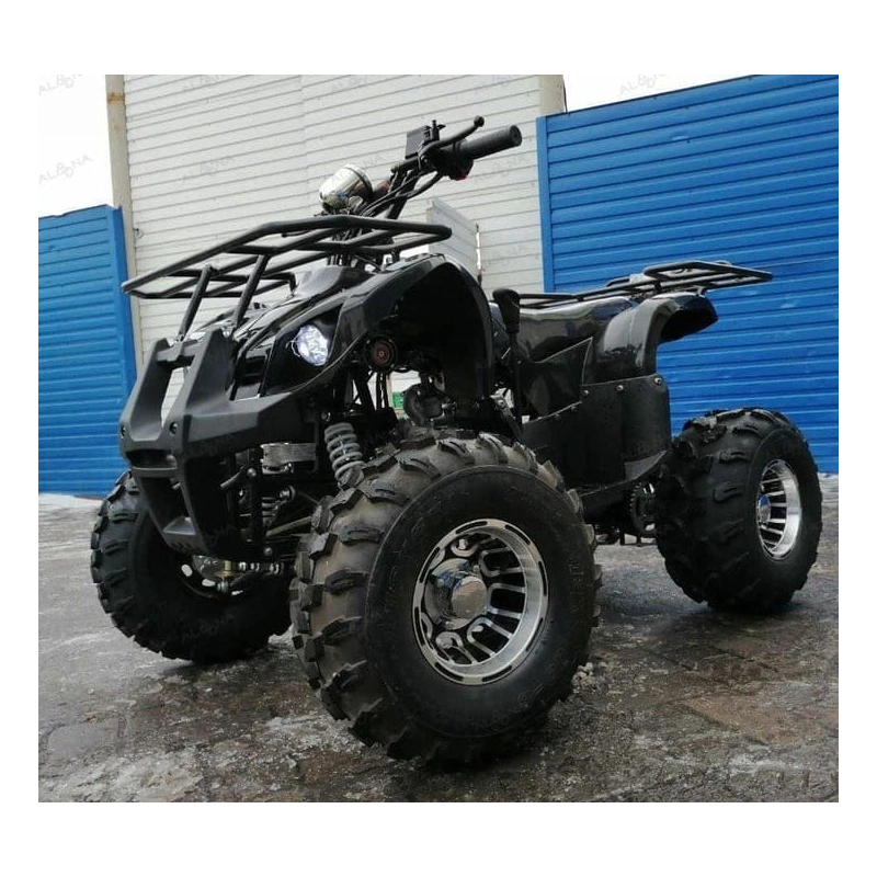 Квадроцикл RAPTOR Max Pro 150 248055
